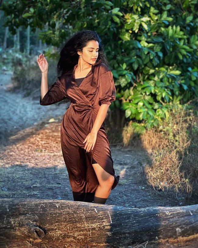 Glorious Clicks Of Gorgeous Anupama Parameswaran